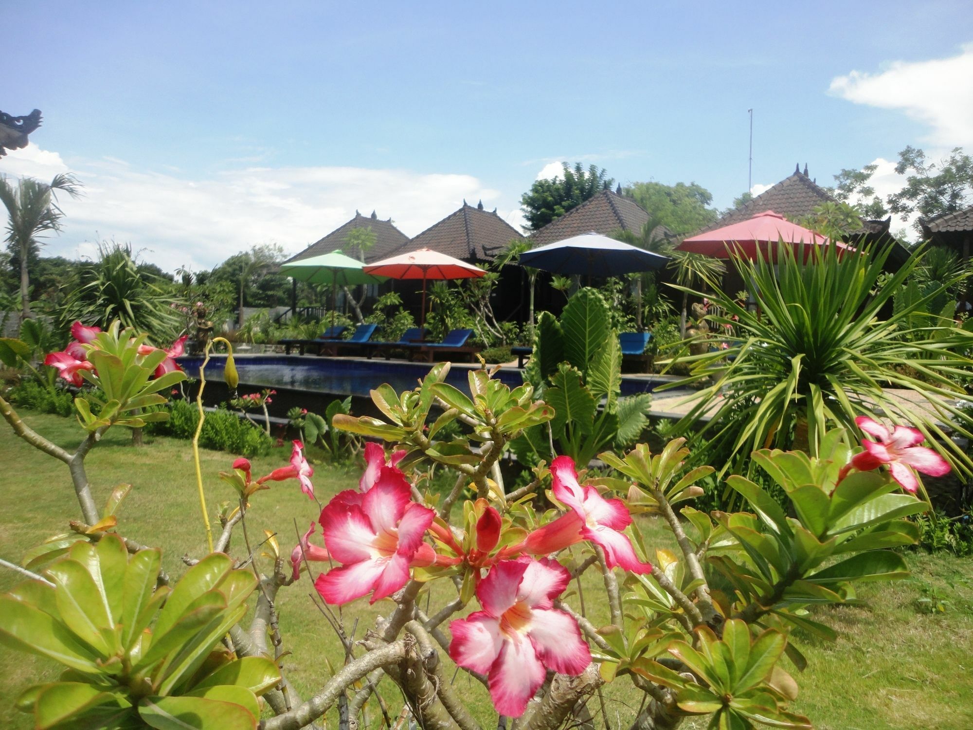 Dream Beach Berlian Nusa Lembongan  Exterior photo